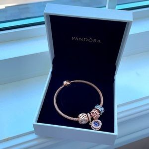 Pandora Moments Mesh Bracelet with charms